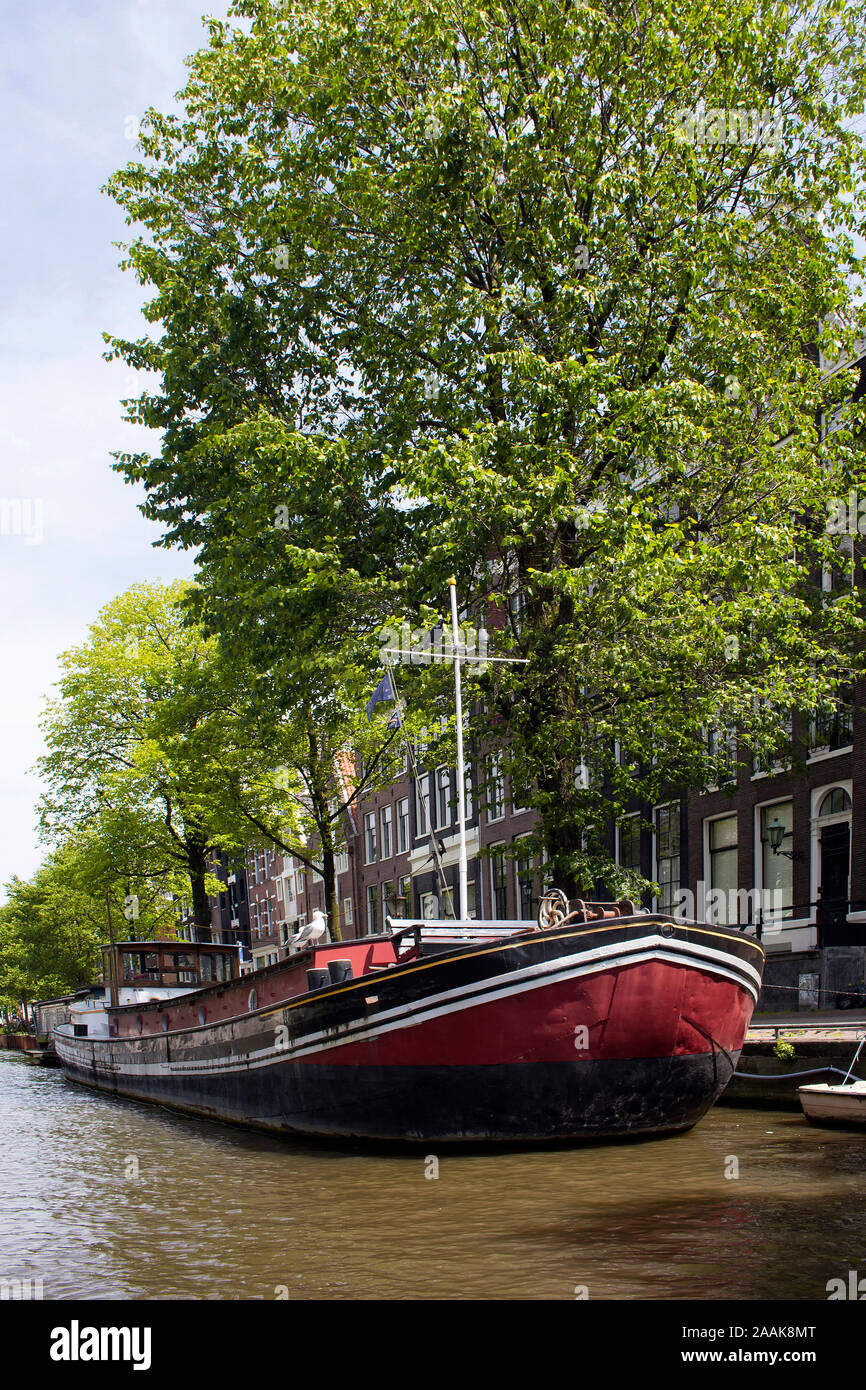 Vista del canal boat house, alberi e storici edifici tradizionali che mostra olandese stile architettonico in Amsterdam. È una soleggiata giornata estiva. Foto Stock