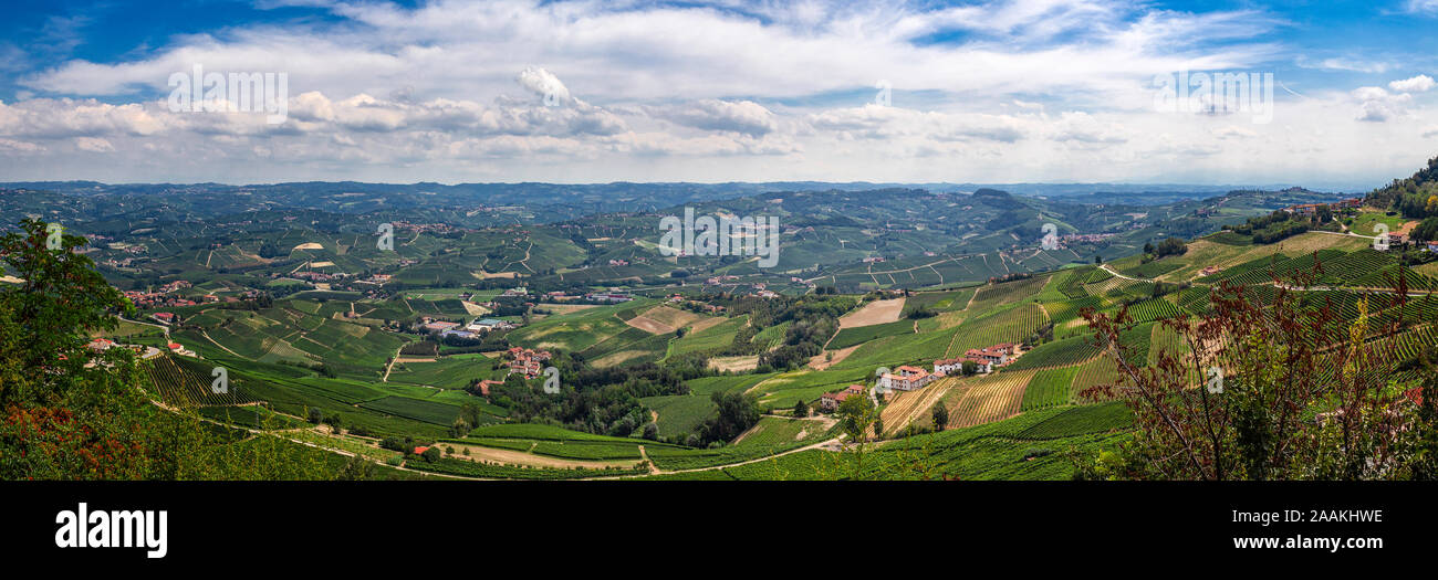 Un italiano del nord area vitivinicola Foto Stock