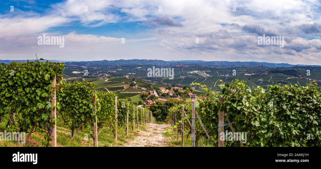 Un italiano del nord area vitivinicola Foto Stock