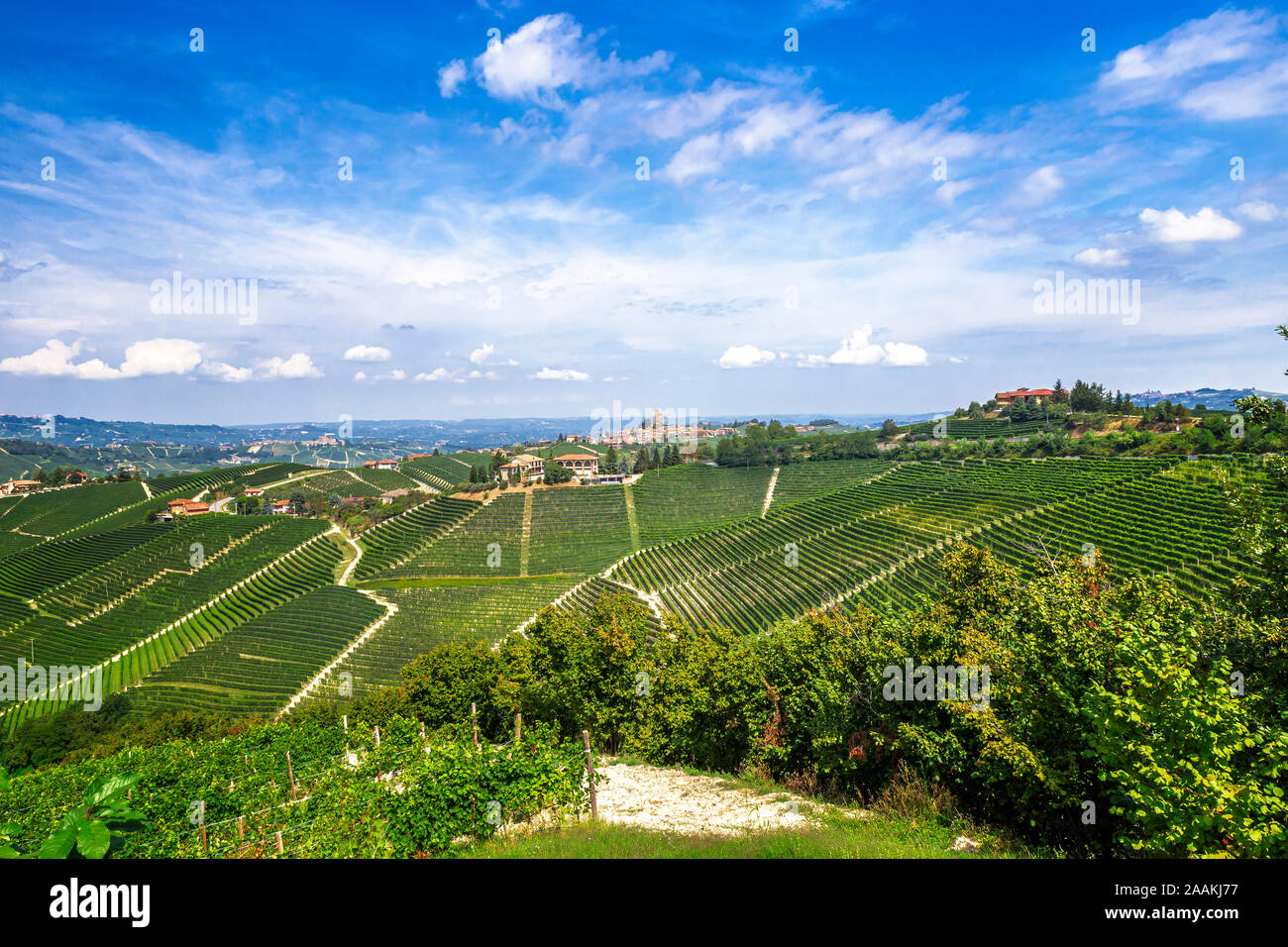 Un italiano del nord area vitivinicola Foto Stock