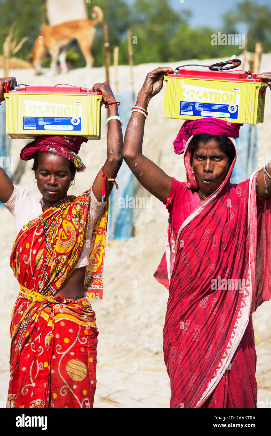 Le donne portano pesanti venti Kg batterie dal WWF eseguire la ricarica solare stazione del Sundarbans, India. Foto Stock