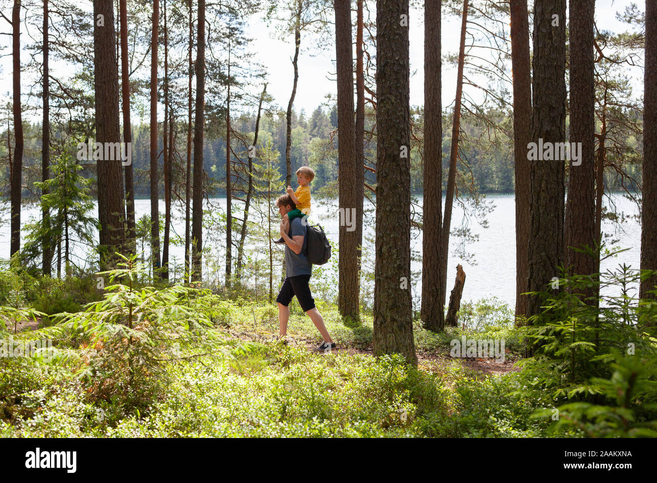 Padre dando figlio piggyback ride in foresta, Finlandia Foto Stock
