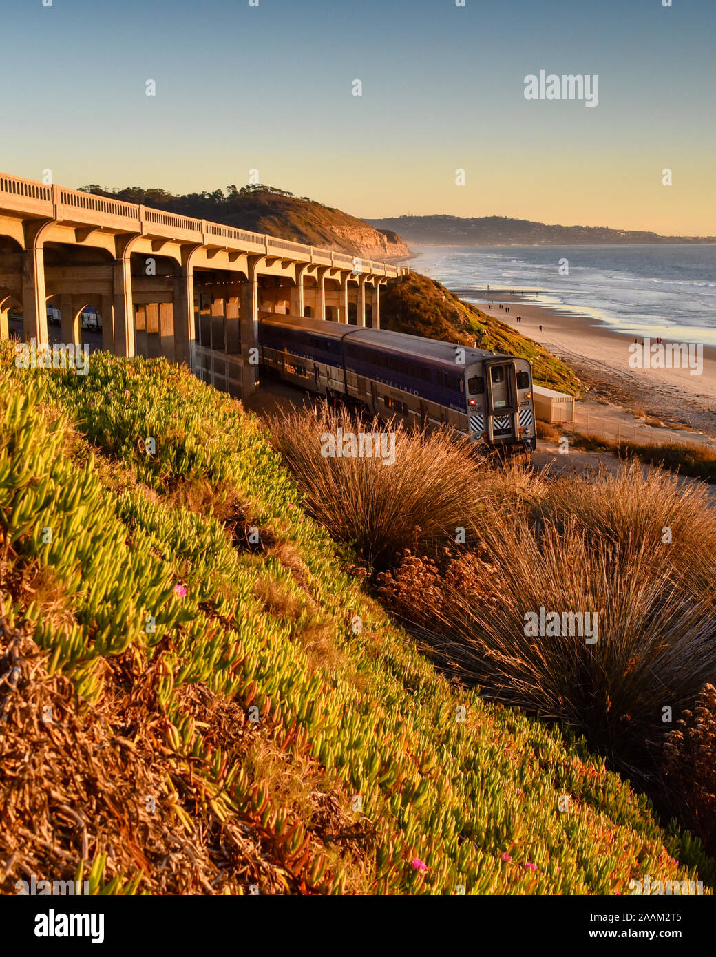 Passeggeri Amtrak locomotiva diesel viaggi costieri lungo i binari della ferrovia sotto il ponte, Torrey Pines State Park nel retro, La Jolla, California, Stati Uniti d'America Foto Stock