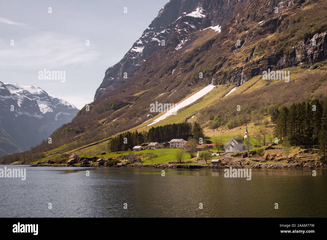 Crociera del fiordo vista in Norvegia Foto Stock