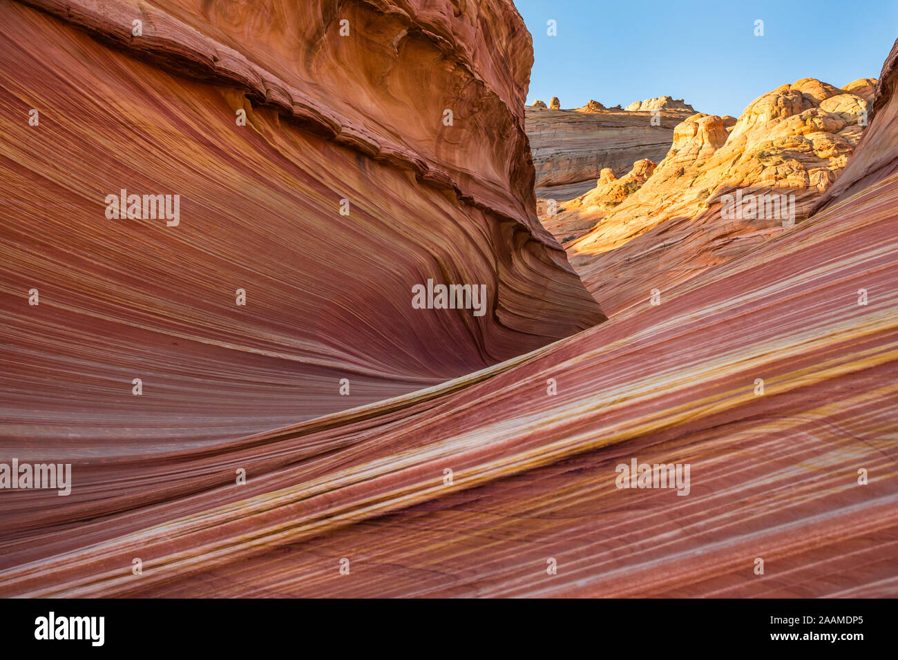 Arizona texture di pietra arenaria di linee e di onde di mattina presto la luce. Foto Stock