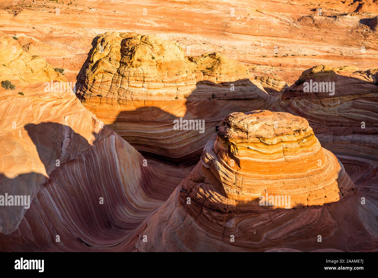 Sunrise su Orange e pietra arenaria rossa della formazione di onde in Coyote Butte area dell'altopiano di Kaibab. Foto Stock