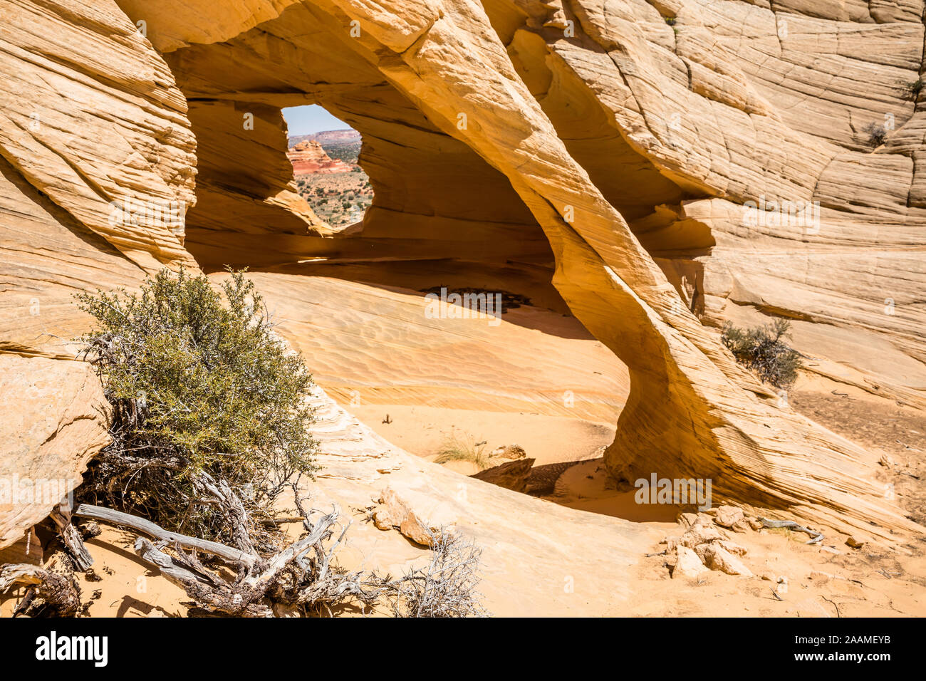 Alcova in Nord Coyote Butte sull'Altopiano di Kaibab. Il vento ha indossato un foro in pietra arenaria e creato una finestra che guarda oltre il deserto dell'Arizona. Foto Stock