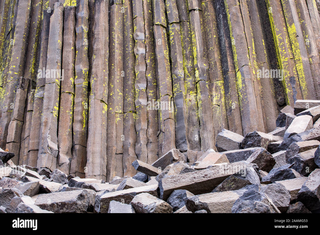 Alla base delle colonne di basalto del Devils Postpile National Monument si trova numerose rotture di colonne esagonali, cadendo nel tempo con erosione Foto Stock