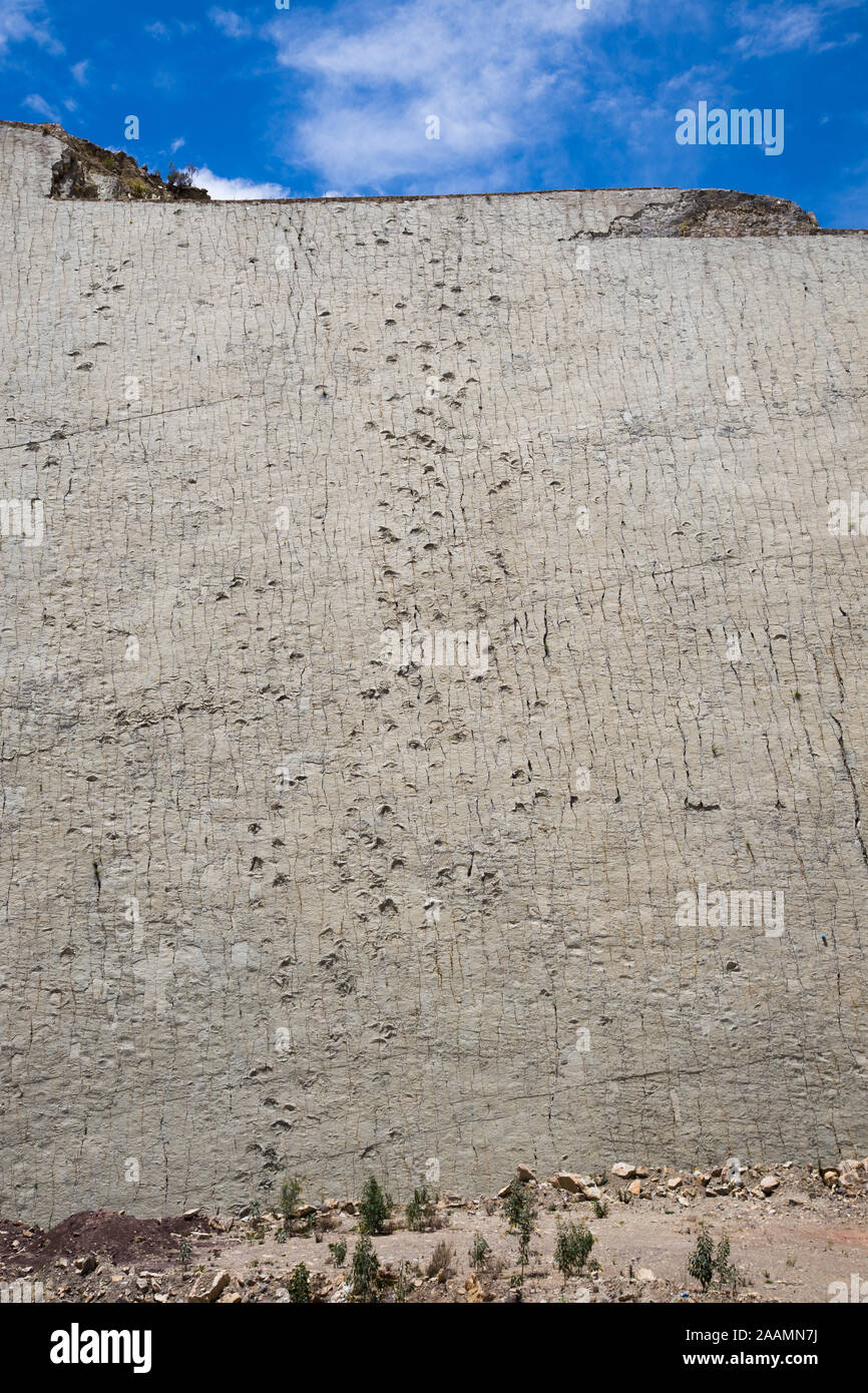 SUCRE, Bolivia - 16 Ottobre 2019: Cal Orcko sito paleontologico in Sucre. Ripida parete con migliaia o piede di dinosauri stampe. Foto Stock
