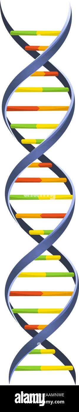 DNA Blood cromosoma catena modello Helix scienza molecolare Struttura a spirale illustrazione vettoriale. Illustrazione Vettoriale