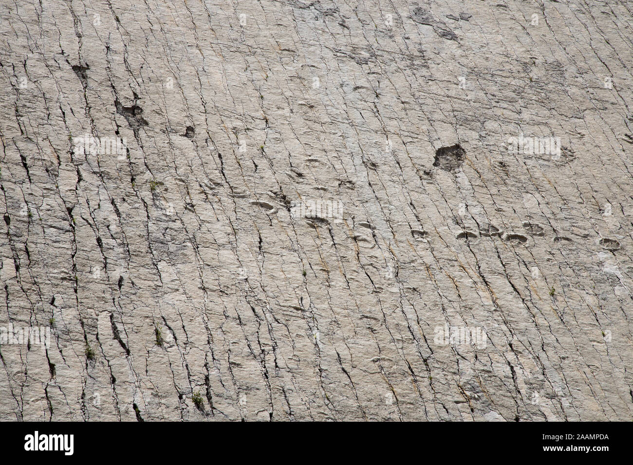SUCRE, Bolivia - 16 Ottobre 2019: Cal Orcko sito paleontologico in Sucre. Ripida parete con migliaia o piede di dinosauri stampe. Foto Stock