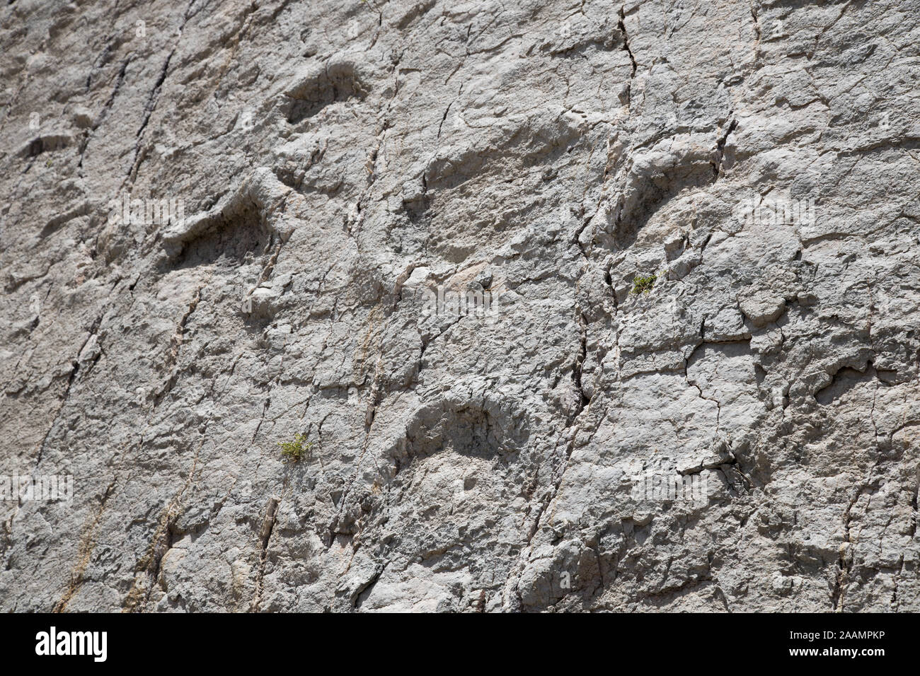 SUCRE, Bolivia - 16 Ottobre 2019: Cal Orcko sito paleontologico in Sucre. Ripida parete con migliaia o piede di dinosauri stampe. Foto Stock