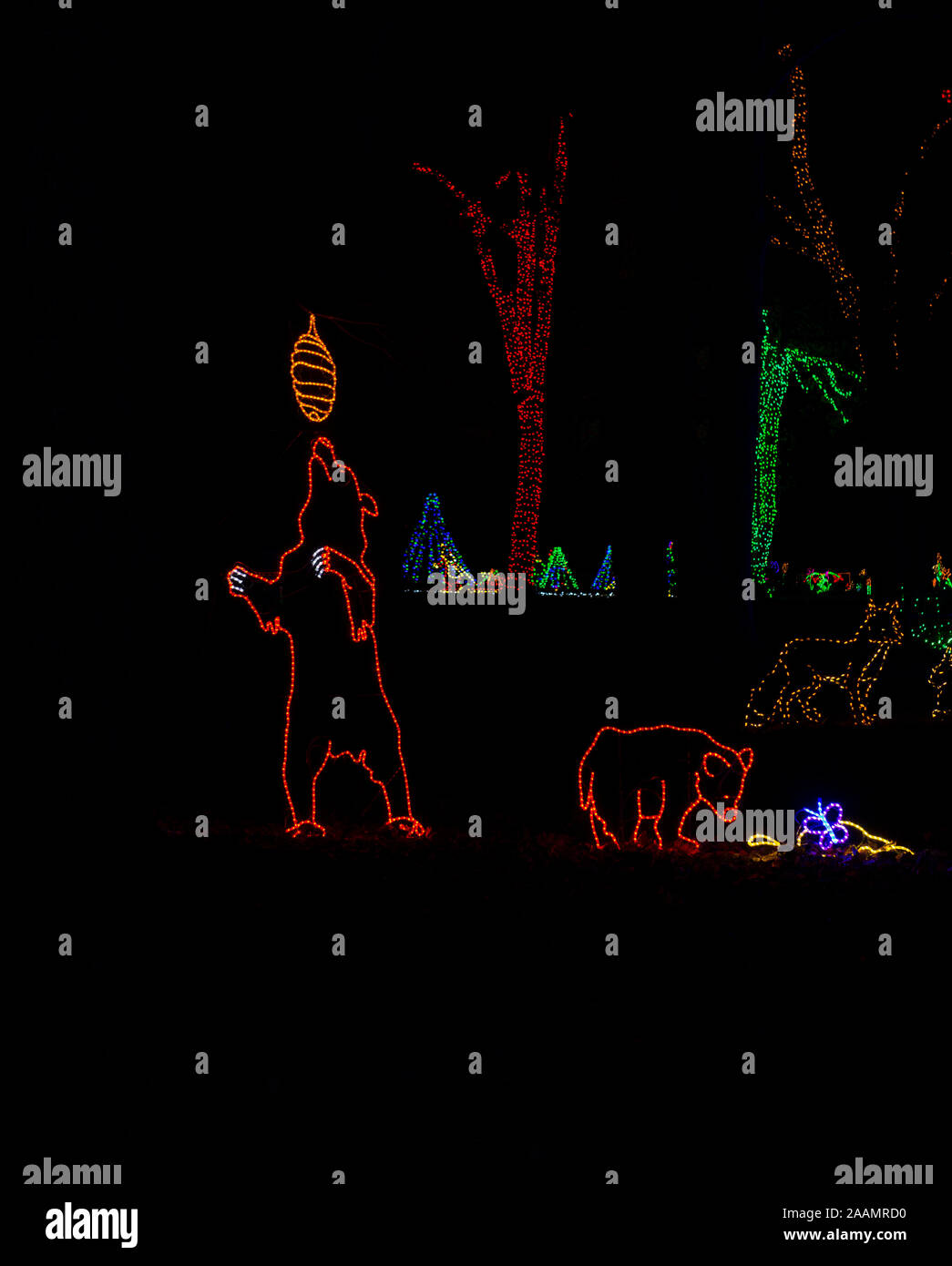 Porta ad un picnic. Alveare e baby orso, alberi illuminati, verde e rosso. Meadowlark Giardini passeggiata invernale delle luci. Scena di natale. Più nitide su download. Foto Stock