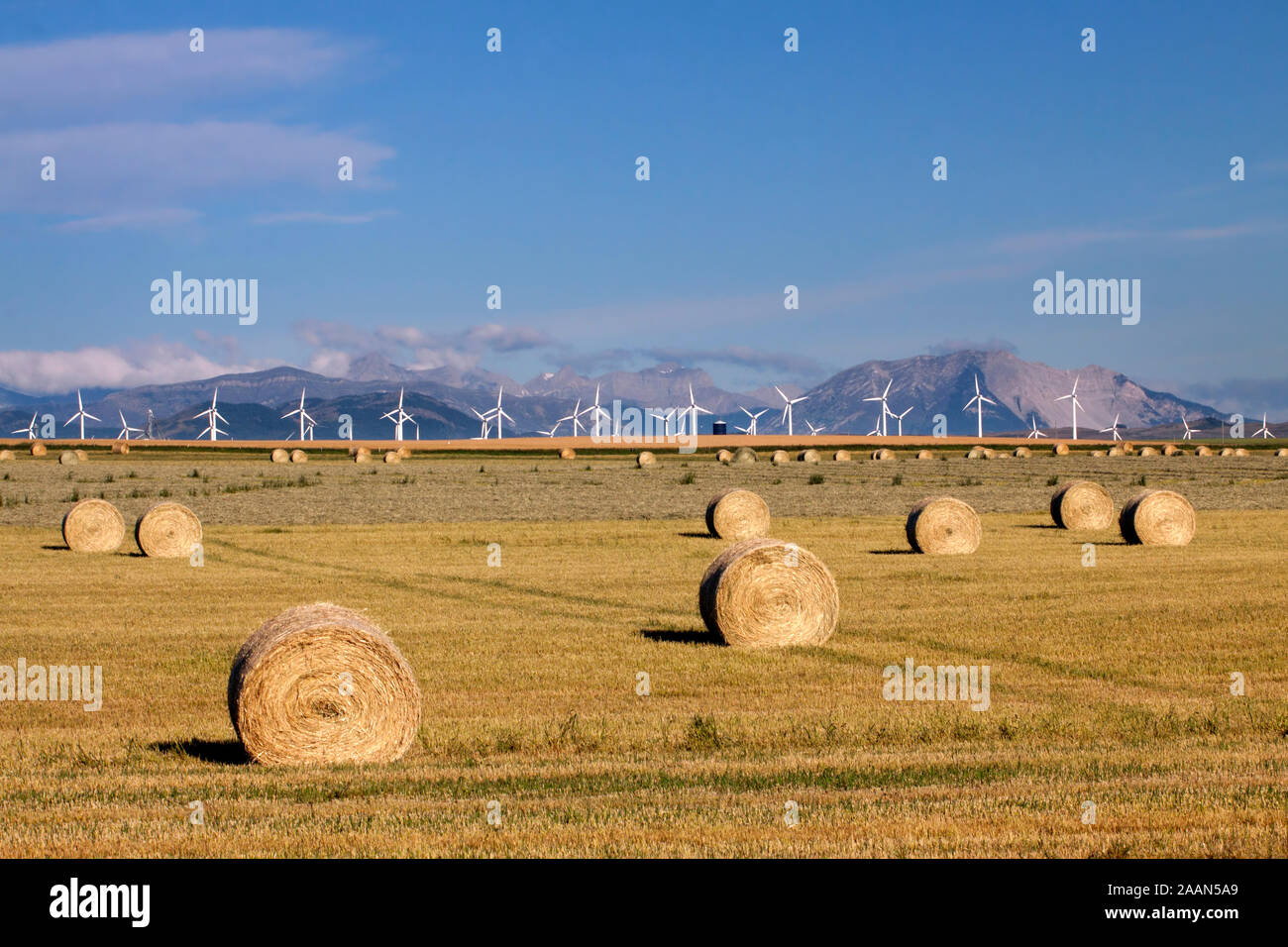 Il paesaggio al confine della Canadian Rocky Mountains e praterie con mulino a vento generatori elettrici, o turbine eoliche, dei rulli di estrazione Creek, Alberta Canada Foto Stock