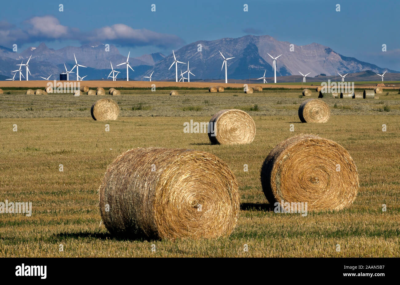Il paesaggio al confine della Canadian Rocky Mountains e praterie con mulino a vento generatori elettrici, o turbine eoliche, dei rulli di estrazione Creek, Alberta Canada Foto Stock