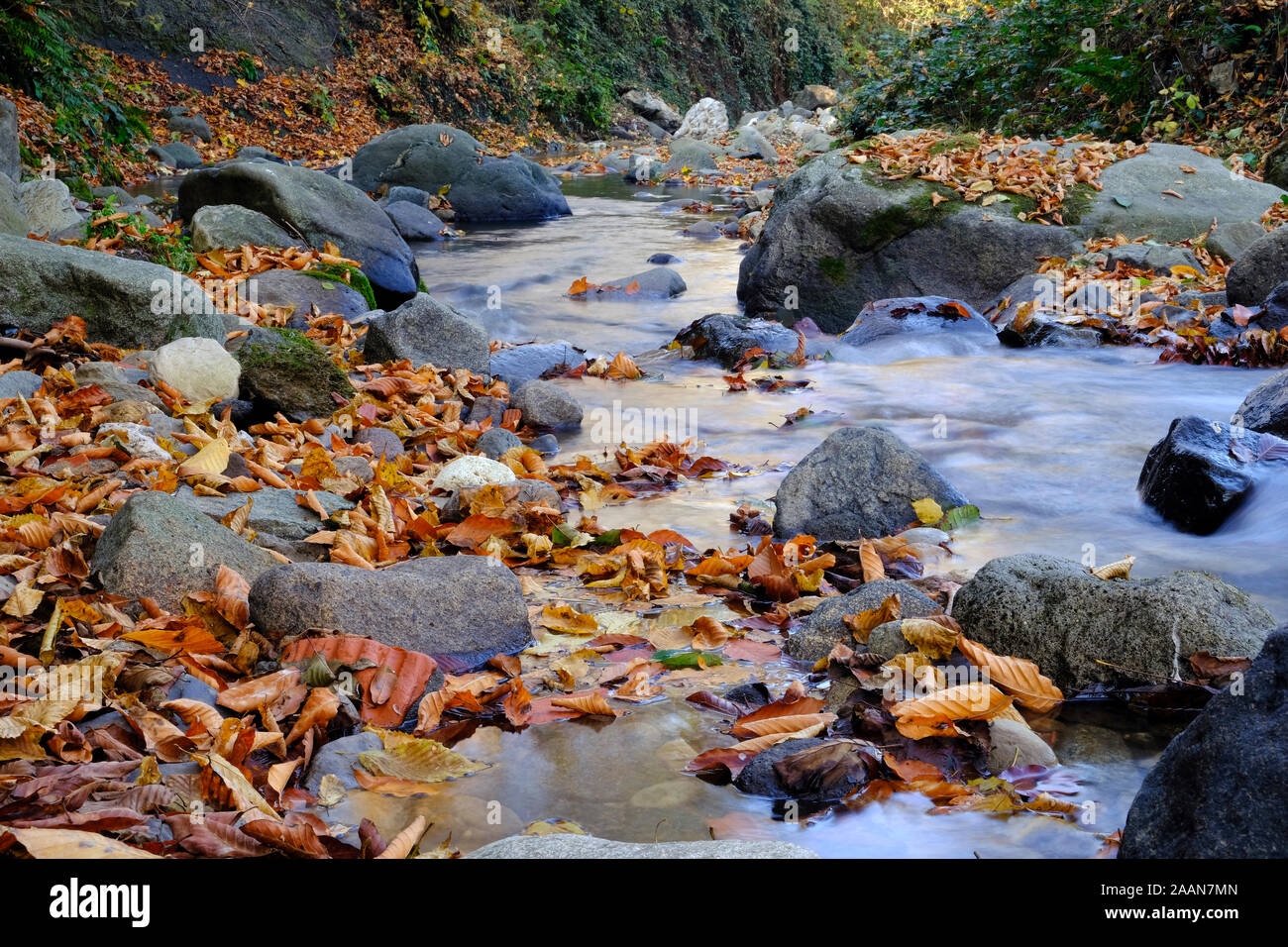 Immagine di una lunga esposizione corrente con i colori autunnali in tonya trabzon Foto Stock
