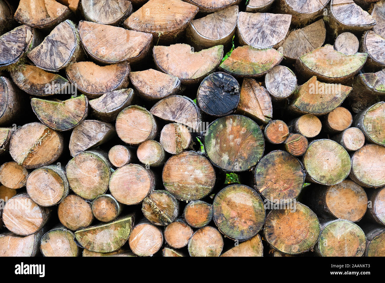 Lo sfondo da una catasta di legna da ardere Foto Stock