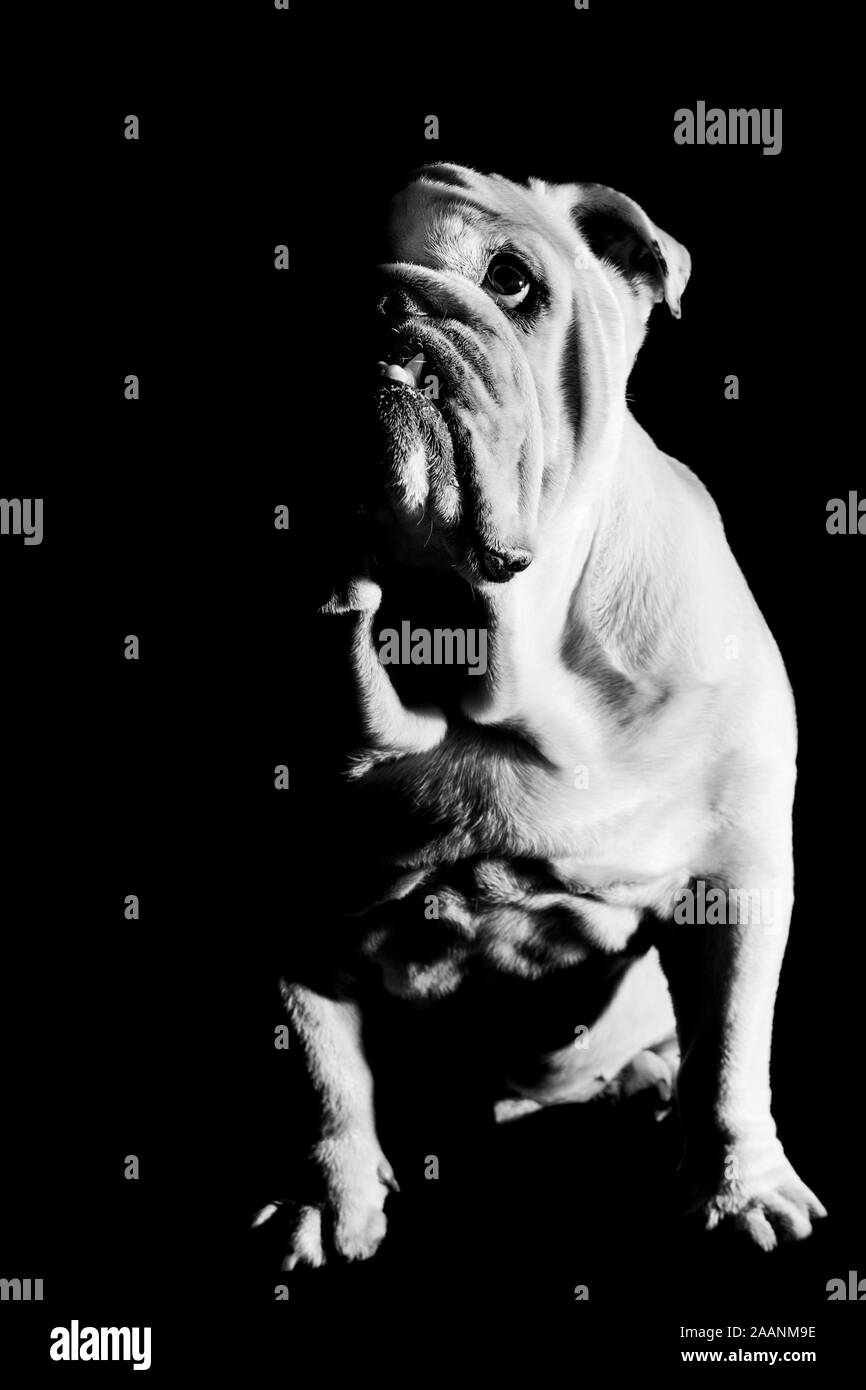 Amore mio Foto Stock