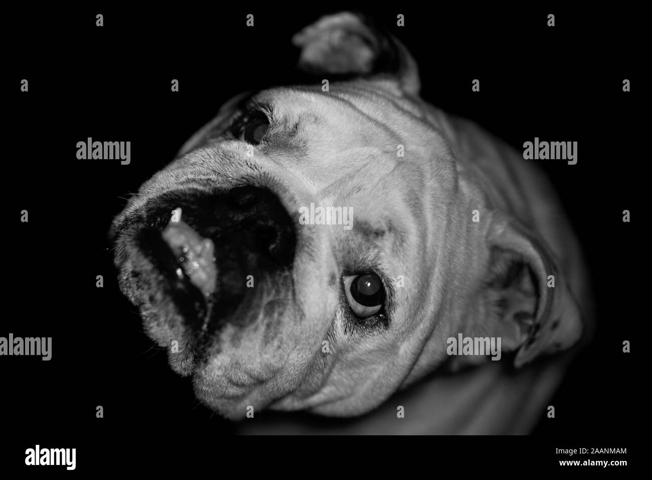 Amore mio Foto Stock