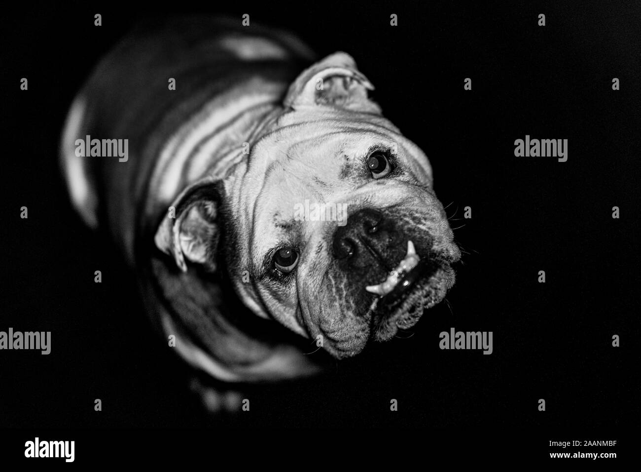 Amore mio Foto Stock
