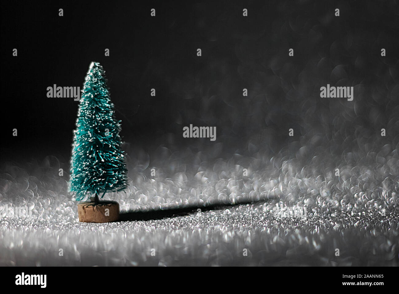 Buon Natale. Un albero di Natale in ombra su uno sfondo sfocato. Pino Evergreen con simbolo tradizionale Foto Stock