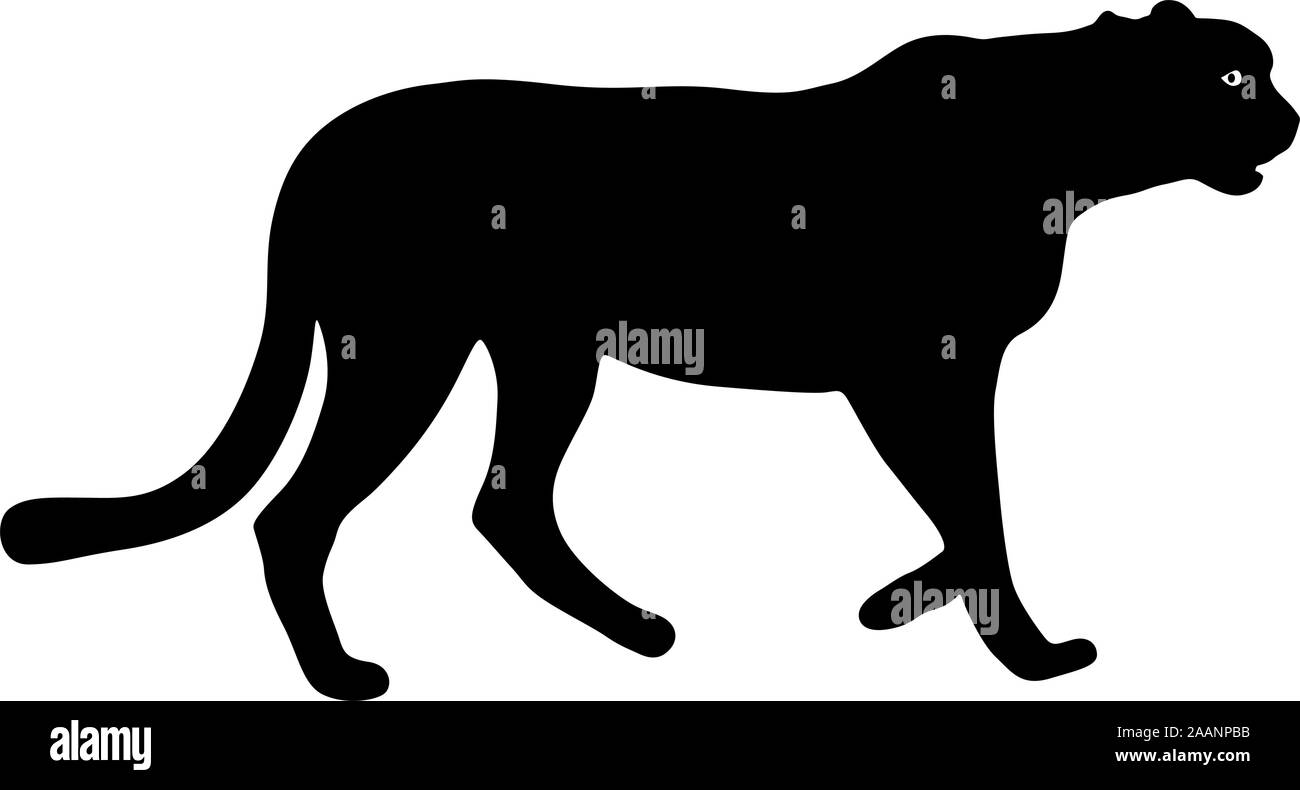 Silhouette bellissima jaguar su uno sfondo bianco. Illustrazione Vettoriale