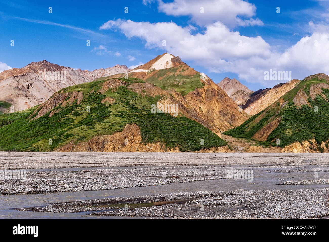 Paesaggio di montagna e fiume intrecciato, Parco Nazionale di Denali, Alaska, Stati Uniti d'America. Foto Stock