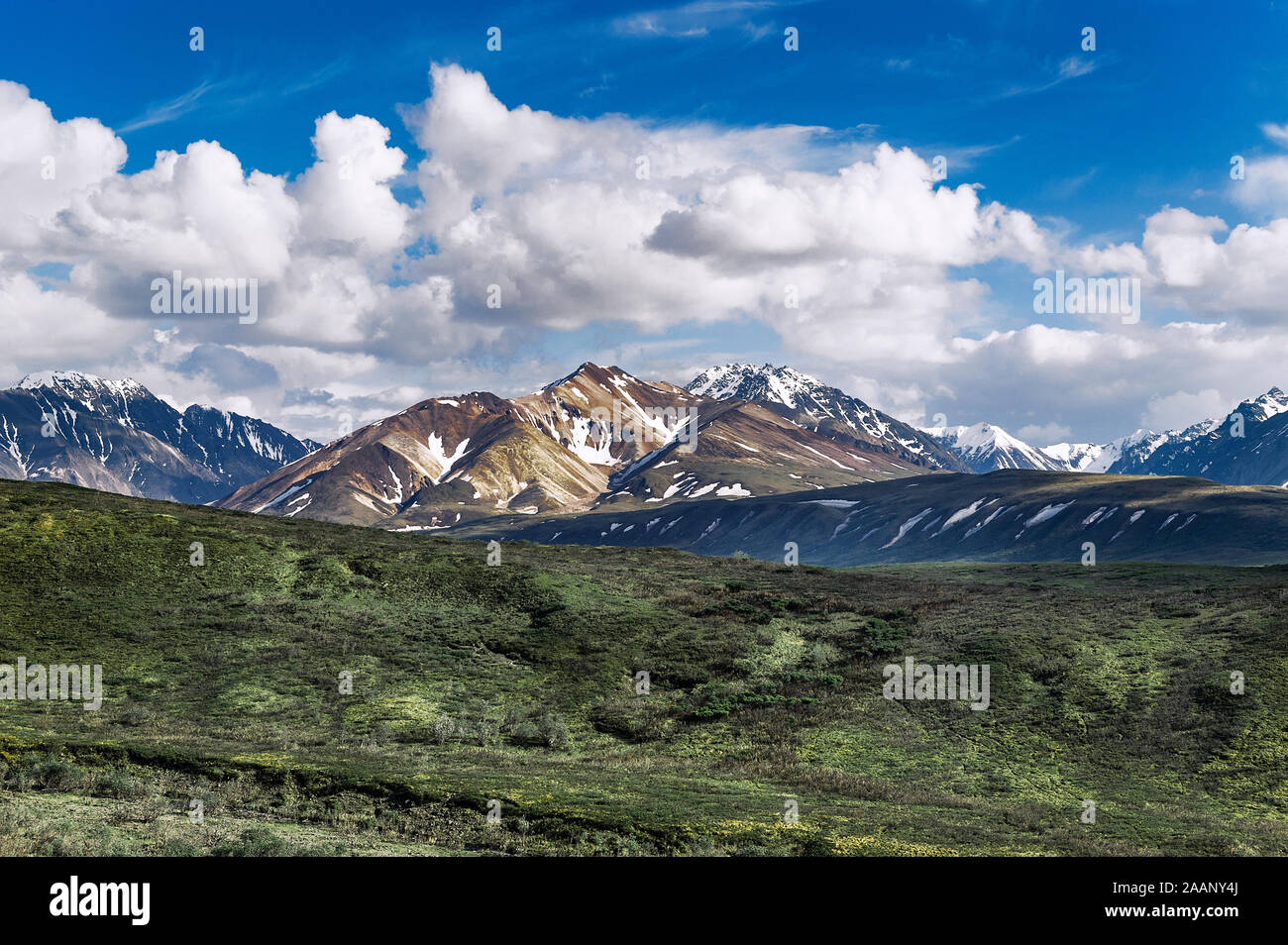 L'Alaska Range, Parco Nazionale di Denali, Alaska, Stati Uniti d'America. Foto Stock