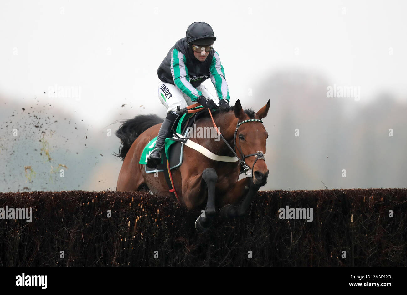 Pym cavalcato da Nico de Boinville salta l'ultimo per vincere le corse di cavalli in Irlanda Steeple Chase durante il giorno due di scoprire delle corse ippiche Weekend di proprietà a Ascot Racecourse. Foto Stock