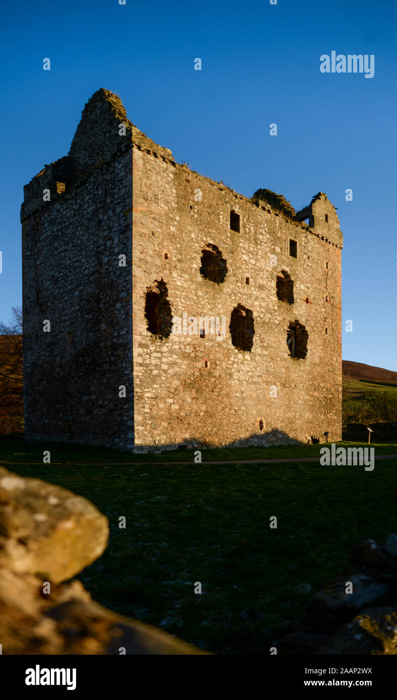 Le rovine del castello di Newark, Selkirkshire nei confini scozzesi Foto Stock