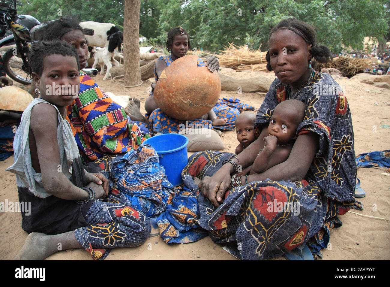 Paese Dogon : villaggio di Bamba Foto Stock