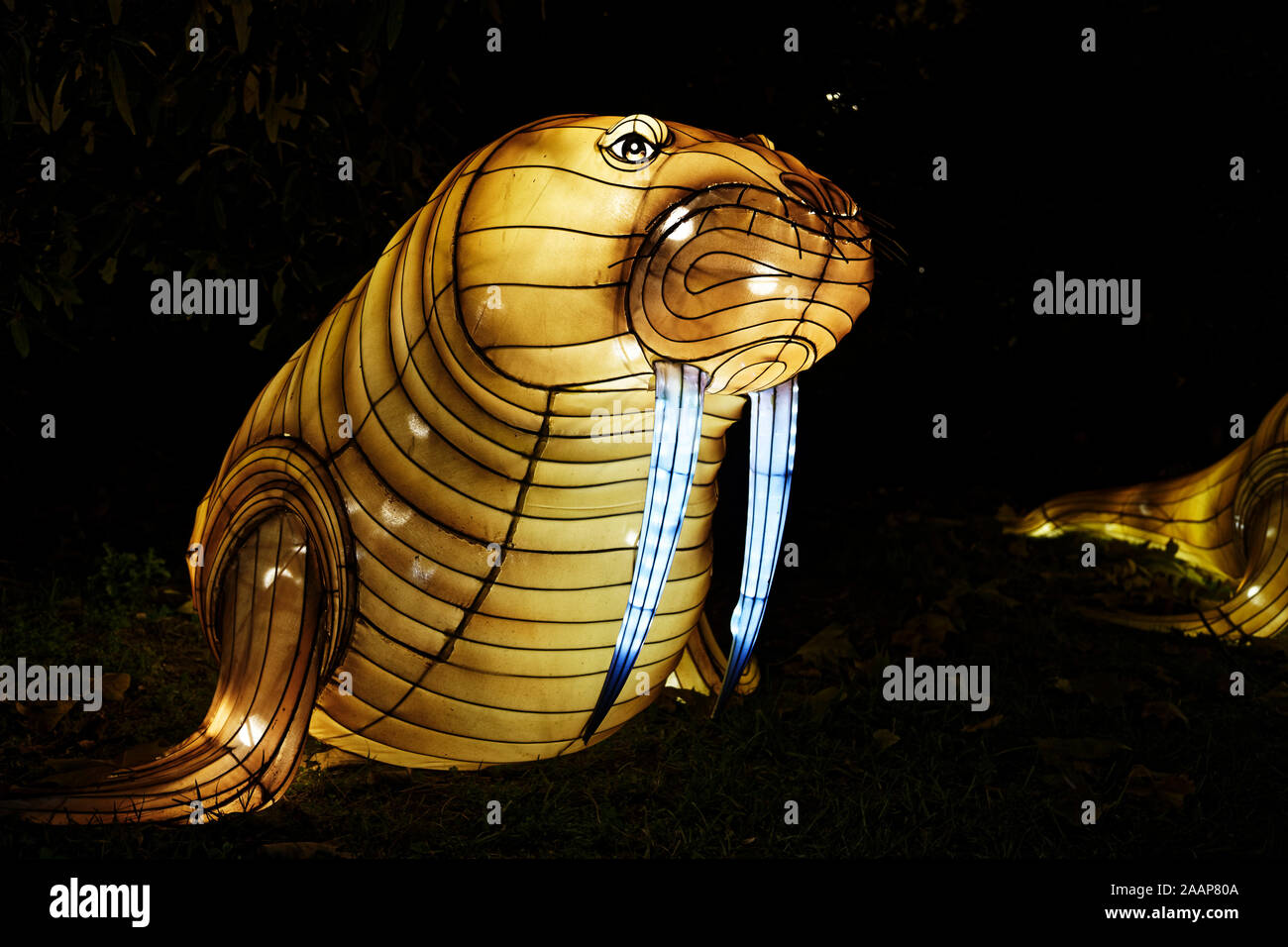 Parigi, Francia. 22 Nov, 2019. "Oceano sul modo di illuminismo", il festival delle luci del Jardin des Plantes di Parigi, Francia. Foto Stock