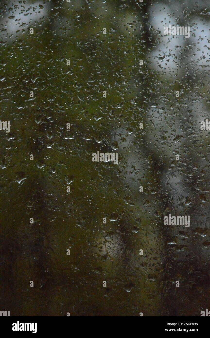 Gocce di pioggia sulla finestra con lo sfondo di foresta Foto Stock