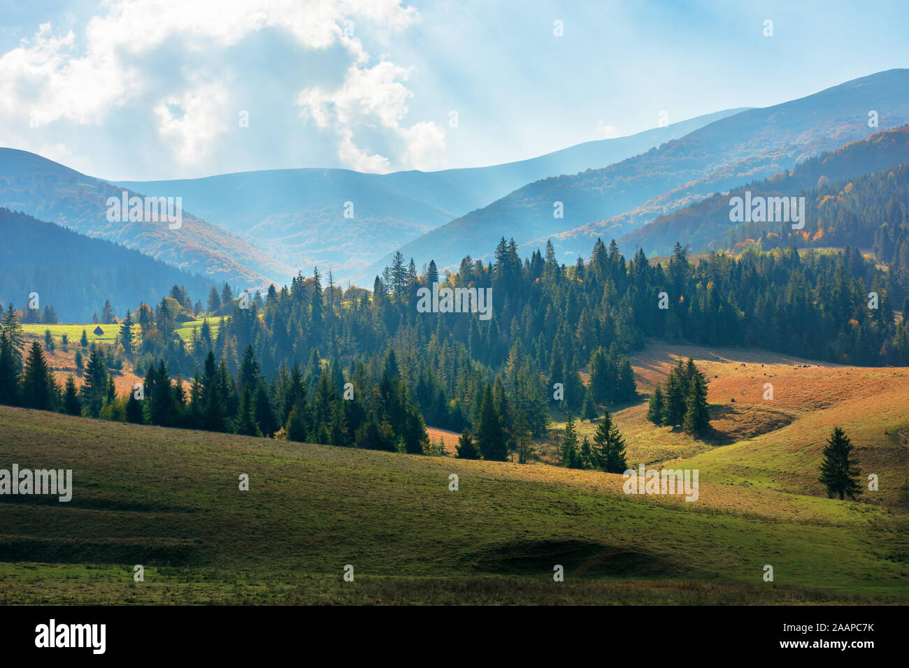 Area rurale dei Carpazi in autunno. meraviglioso paesaggio delle montagne borzhava in pezzata luce osservata da podobovets villaggio agricolo. Foto Stock