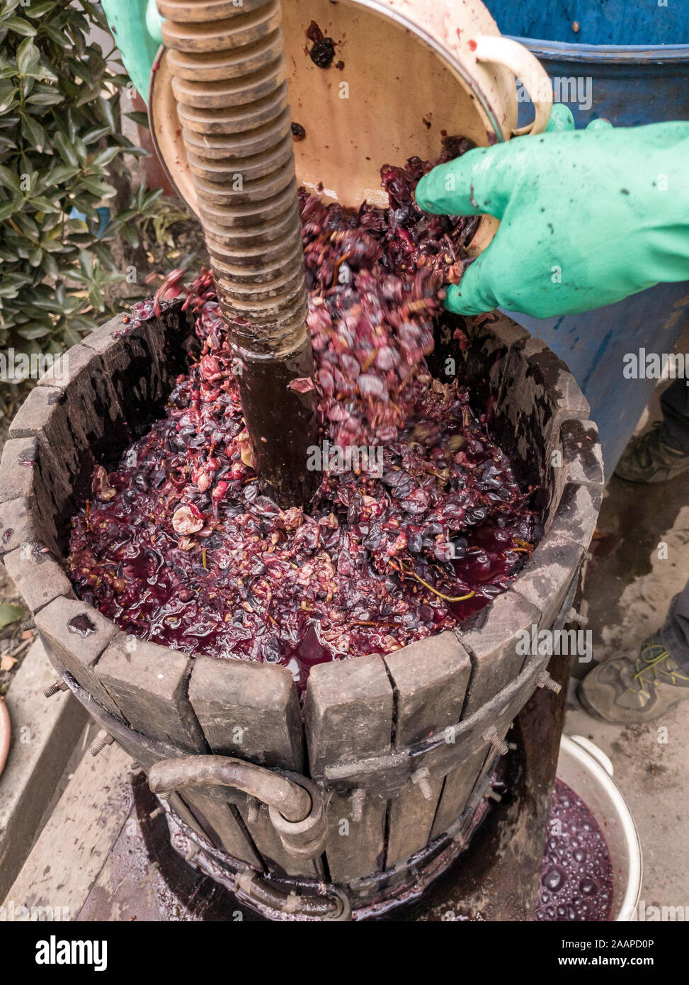Fare il vino in casa. In legno antico Torchio vinario Foto Stock