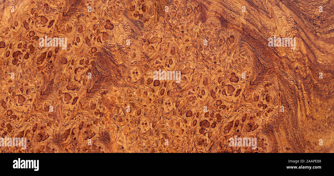 Natura burl a strisce di legno, legno esotico bellissimo modello per l'artigianato o arte astratta sfondo texture Foto Stock