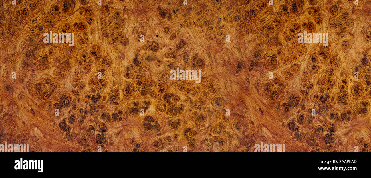 Natura afzelia burl a strisce di legno, legno esotico bellissimo modello per l'artigianato o arte astratta sfondo texture Foto Stock