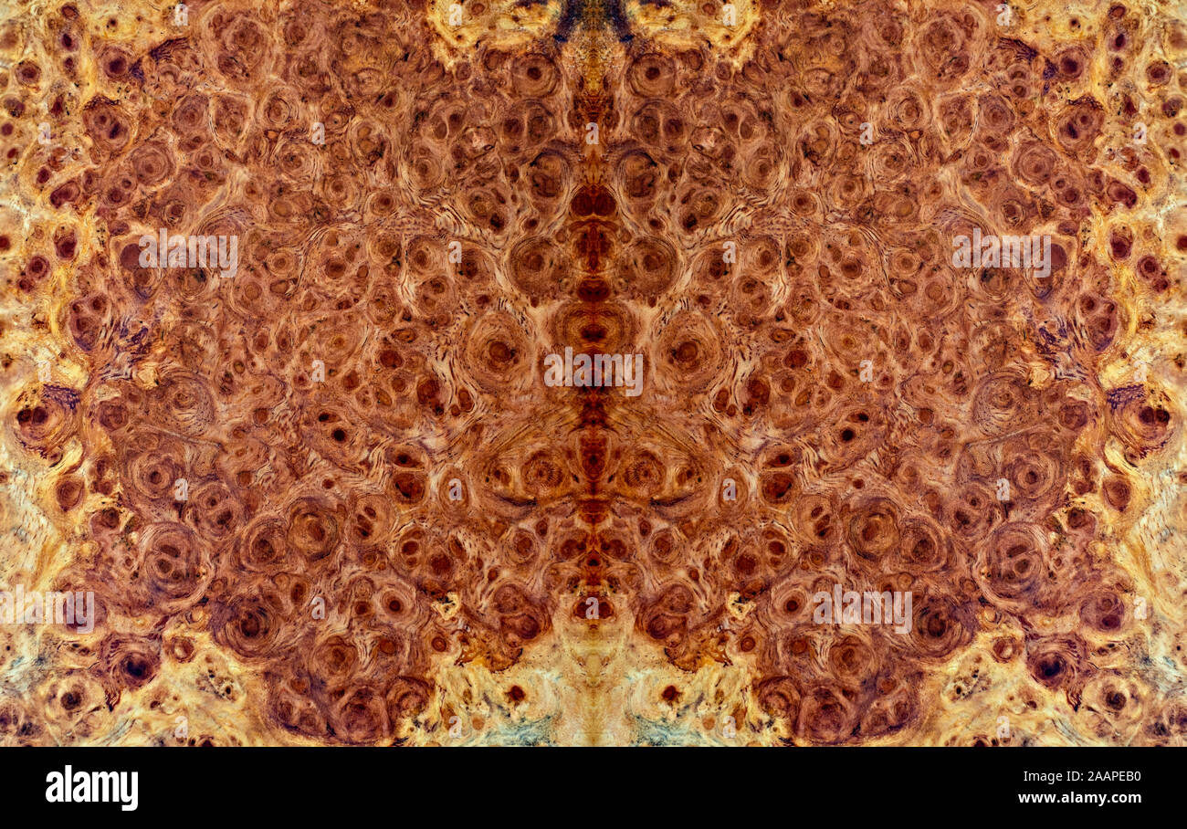 Natura burl a strisce di legno di legno esotico bellissimo modello per l'artigianato o arte astratta sfondo texture Foto Stock