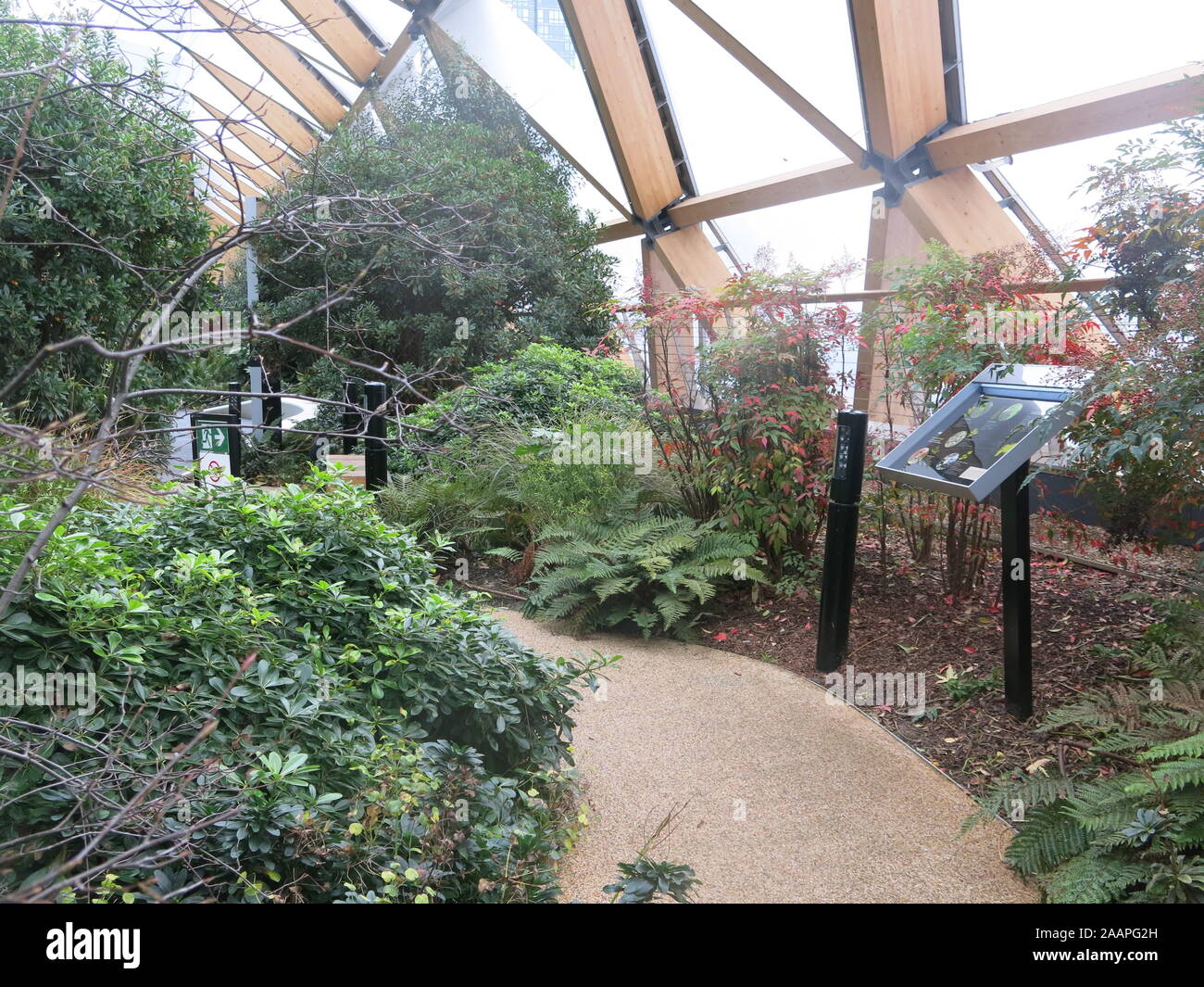 Percorsi tortuosi attraverso delle piante tropicali fornire qualche spazio verde chiuso nel giardino sul tetto di Crossrail posto, Canary Wharf. Foto Stock