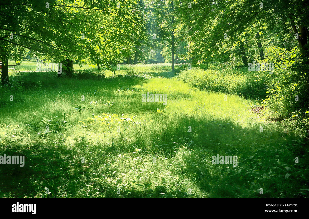 Giardini di Frederiksberg, Copenaghen: paesaggio romantico parco in stile inglese nel cuore della città Foto Stock Giardini di Frederiksberg, Copenaghen: paesaggio romantico parco in stile inglese nel cuore della città Foto Stock
