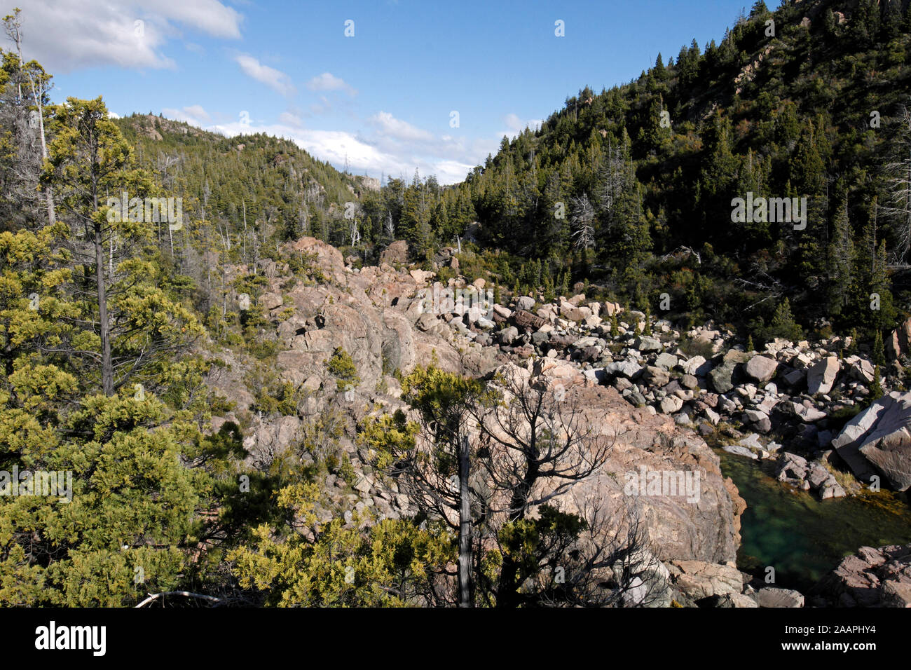 Rio Grande o Futaleufu sotto la diga nei pressi di Trevelin, Chubut, Patagonia. Foto Stock