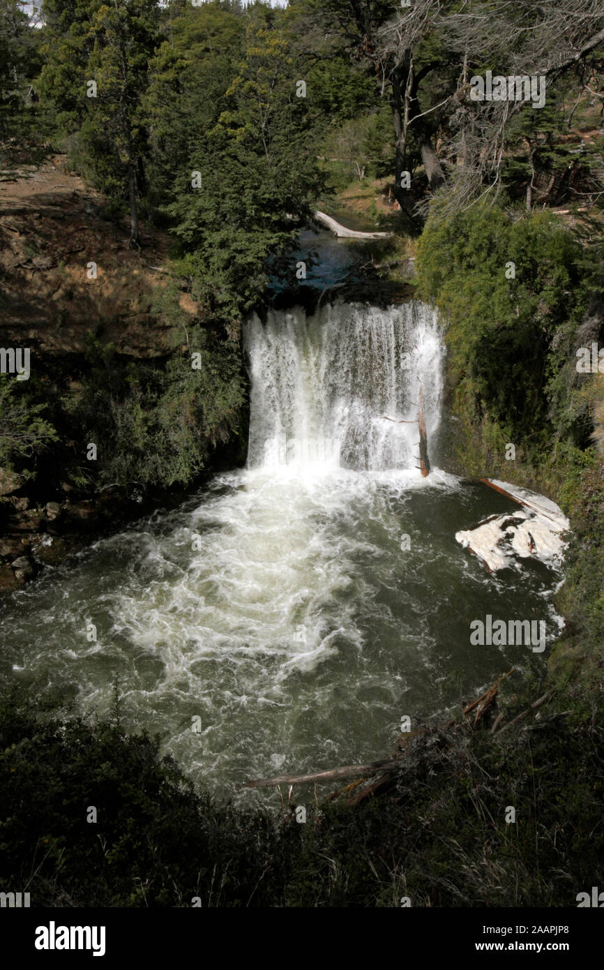 Nant y cadono le cascate Riserva Provinciale nei pressi di Trevelin e di Esquel, Chubut, Argentina, Patagonia, Foto Stock