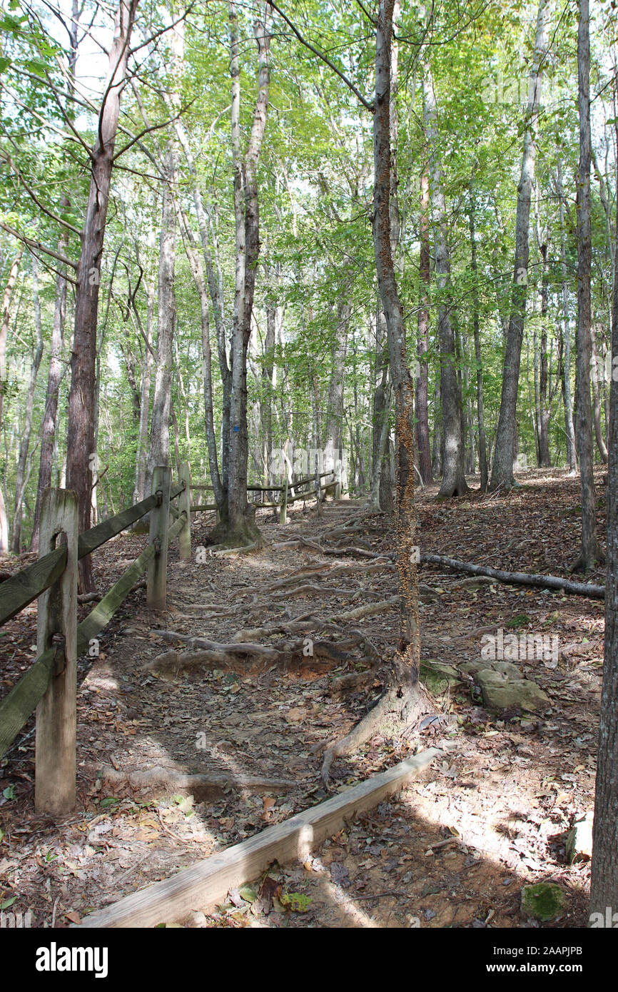 Il Cox sentiero di montagna che conduce attraverso un bosco lungo una staccionata di legno a Eno River State Park in North Carolina, STATI UNITI D'AMERICA Foto Stock