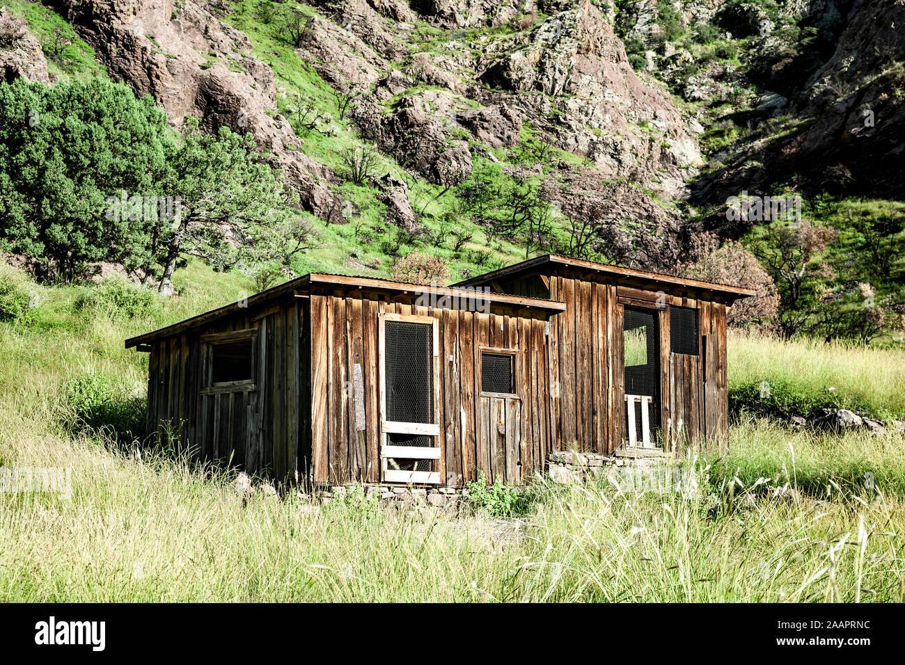 Edificio di livrea per Van Patten Mountain Camp (ca. 1800s), vicino a Dripping Springs, montagne Organ, Nuovo Messico USA Foto Stock