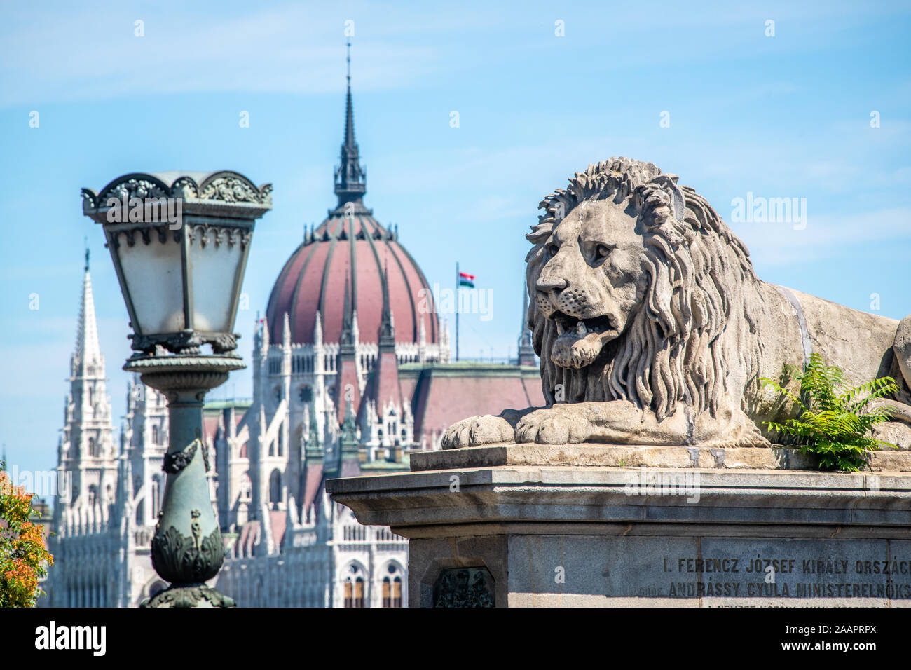 Una statua di un leone in onore di Re Francesco Giuseppe I d'Austria , Budapest, Ungheria Foto Stock