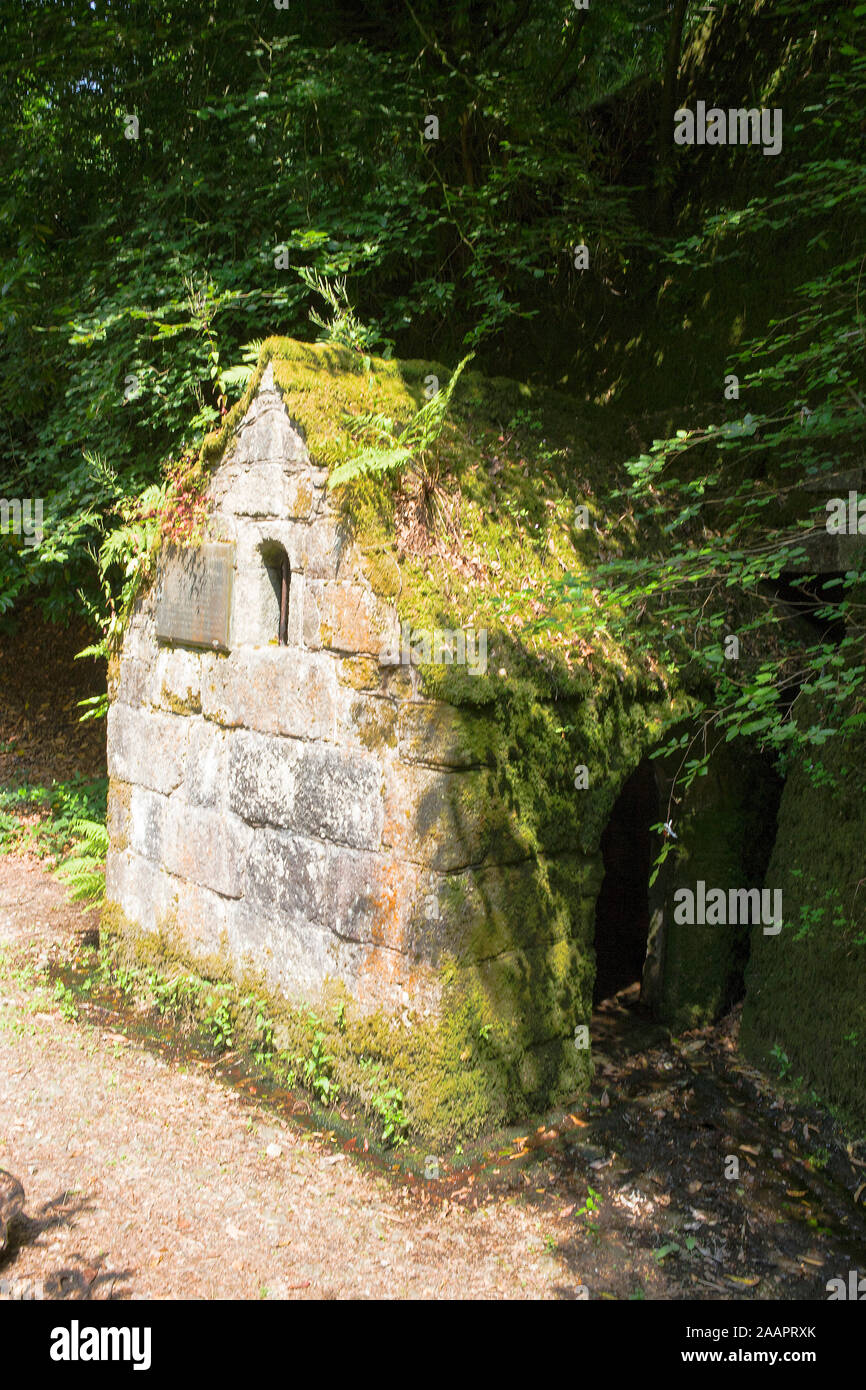 Menacuddle bene, un xv secolo Santo ben nascosto in fitti boschi, Trethowel, Cornwall, Regno Unito Foto Stock