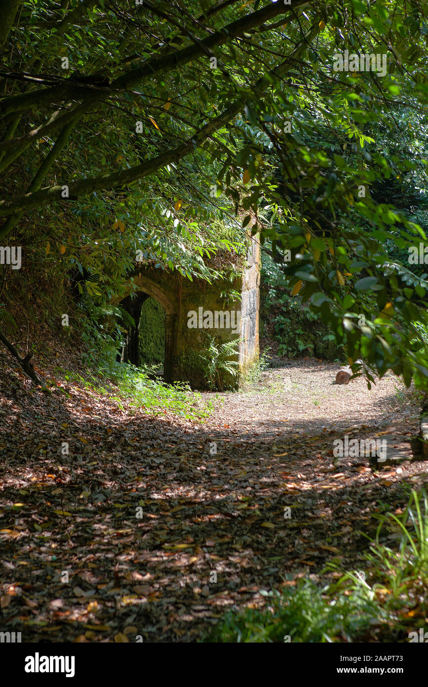 Menacuddle bene, un xv secolo Santo ben nascosto in fitti boschi, Trethowel, Cornwall, Regno Unito Foto Stock