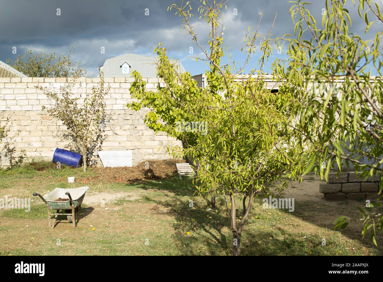 Cortile posteriore con alberi da frutto, recinzione in mattoni e nuvole grigie nel cielo Foto Stock