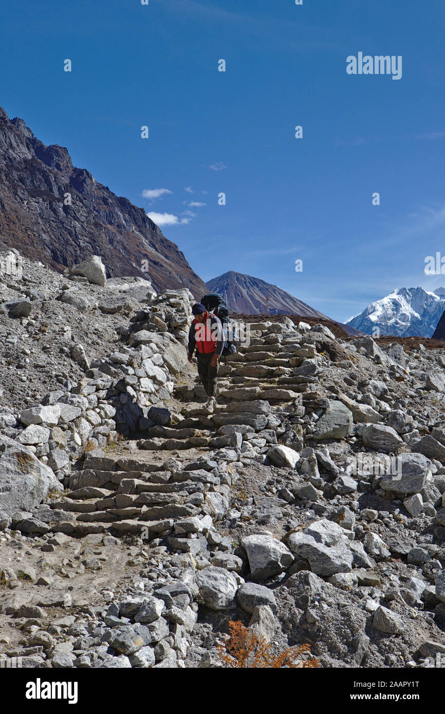 Lo Sherpa nepalese che trasportano il carico sul Langtang trek camminando giù di gradini di pietra Foto Stock