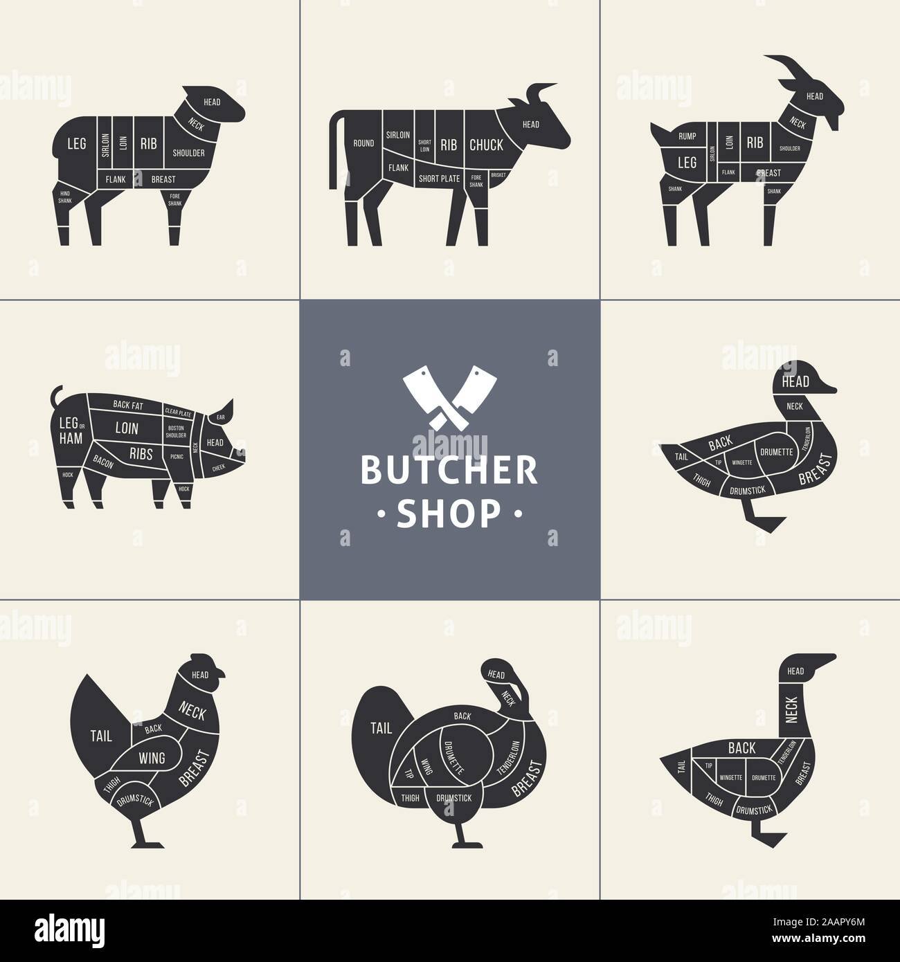 Impostare una vista schematica degli animali per il Butcher Shop. Illustrazione Vettoriale